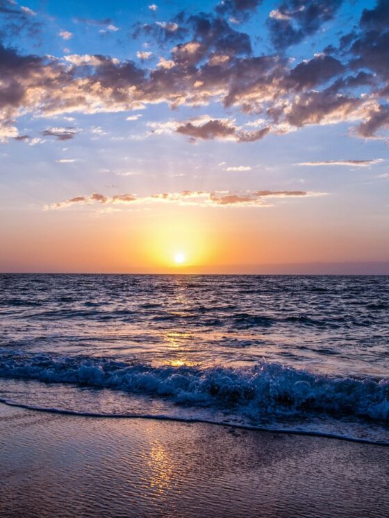 Why Buyers & Realtors Choose Danielle DesousWhy Buyers & Realtors Choose Danielle Desousa