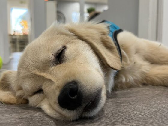 🏡 What is the Best Place to Get a Mortgage Loan? 🏡