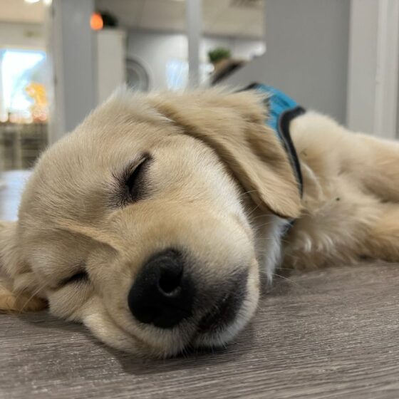 🏡 What is the Best Place to Get a Mortgage Loan? 🏡