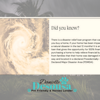 🏡 FHA Loan Insights 🏡