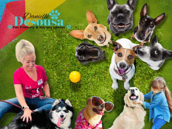 Exploring Pet-Friendly Flagler County: Top Places to Eat, Play, and Care for Your Furry Friends