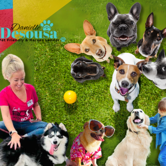 Exploring Pet-Friendly Flagler County: Top Places to Eat, Play, and Care for Your Furry Friends