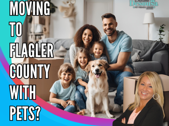 Moving to Flagler County with Pets? Your Ultimate Pet-Friendly Moving Guide!